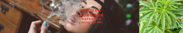 ПСИЛОЦИБИНОВЫЕ ГРИБЫ Баксан