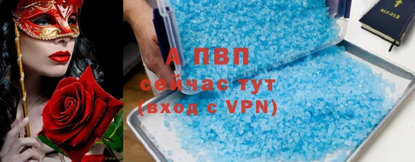 ПСИЛОЦИБИНОВЫЕ ГРИБЫ Баксан