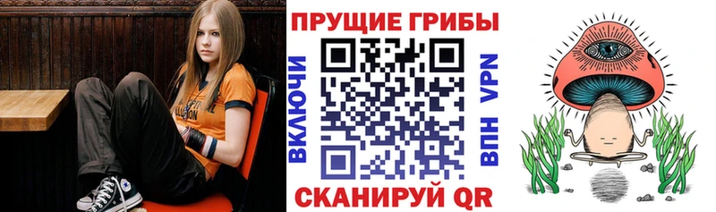 Псилоцибиновые грибы мухоморы Купить где Жирновск