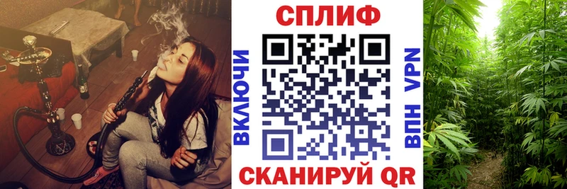 Купить закладки  Жирновск  Конопля ГИДРОПОН 